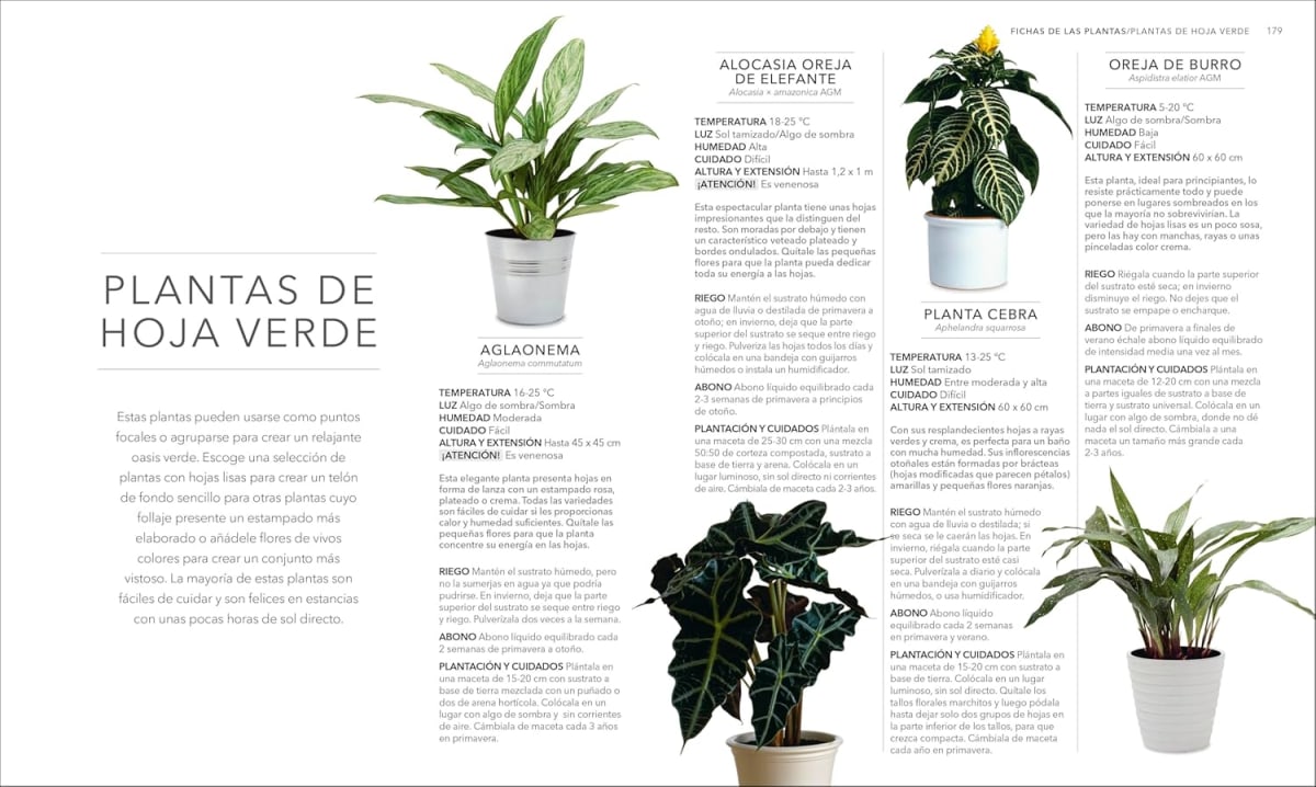 PLANTAS DE INTERIOR4
