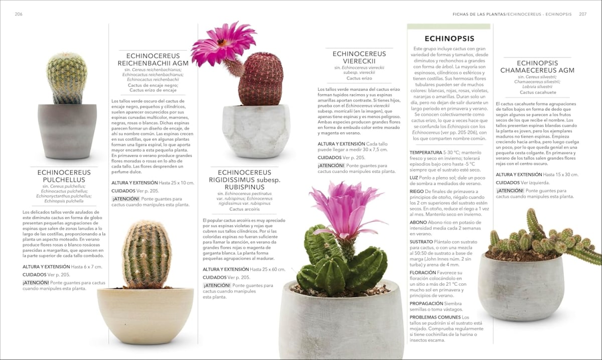 PLANTAS DE INTERIOR5