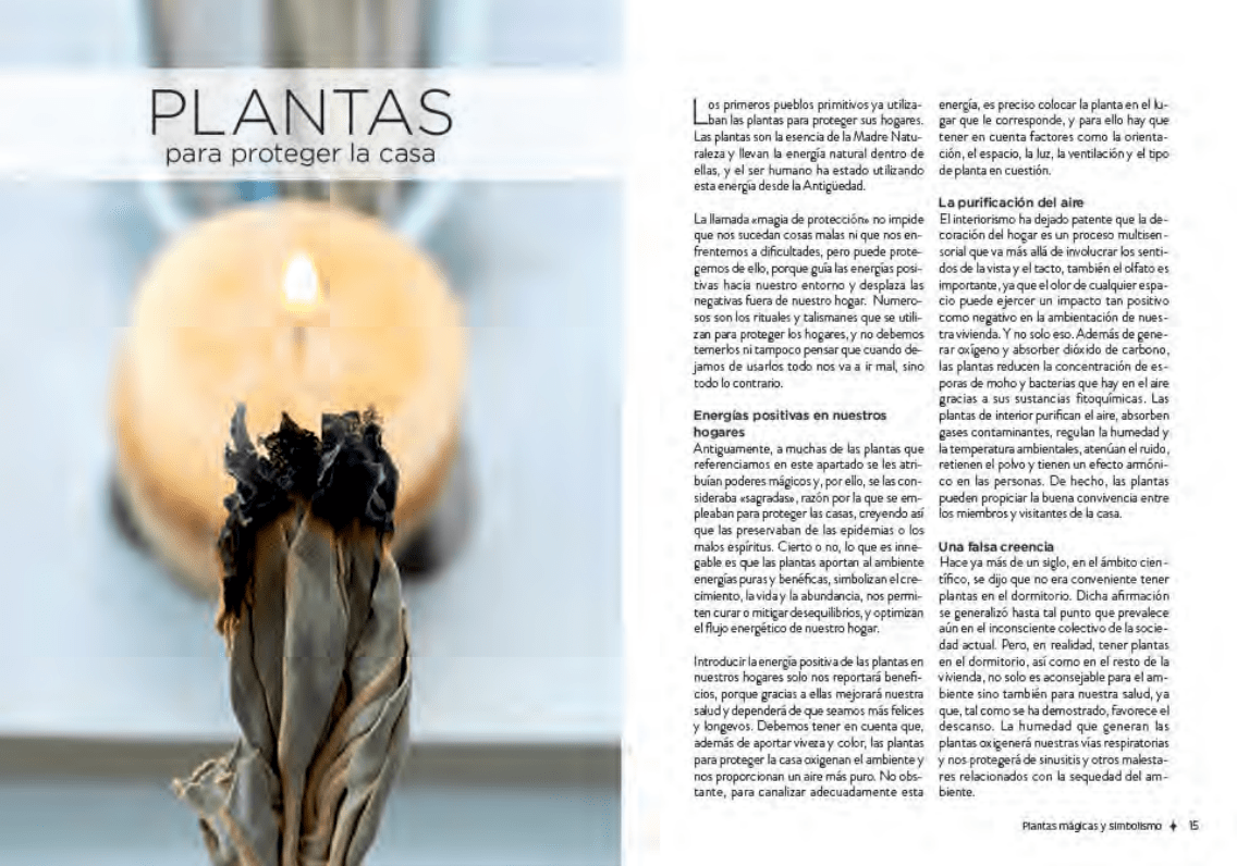 PLANTAS CON PODERES MÁGICOS2