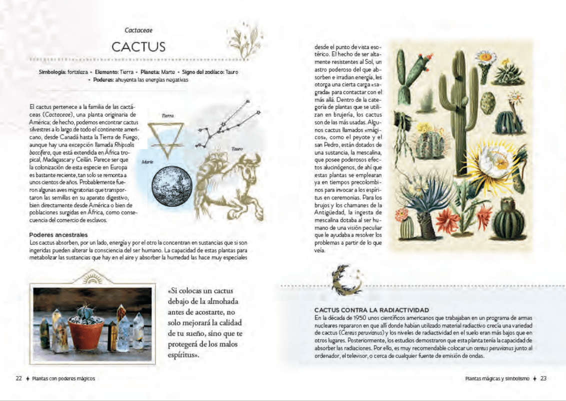 PLANTAS CON PODERES MÁGICOS3
