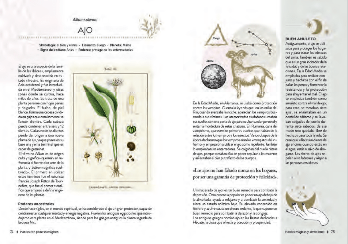 PLANTAS CON PODERES MÁGICOS4