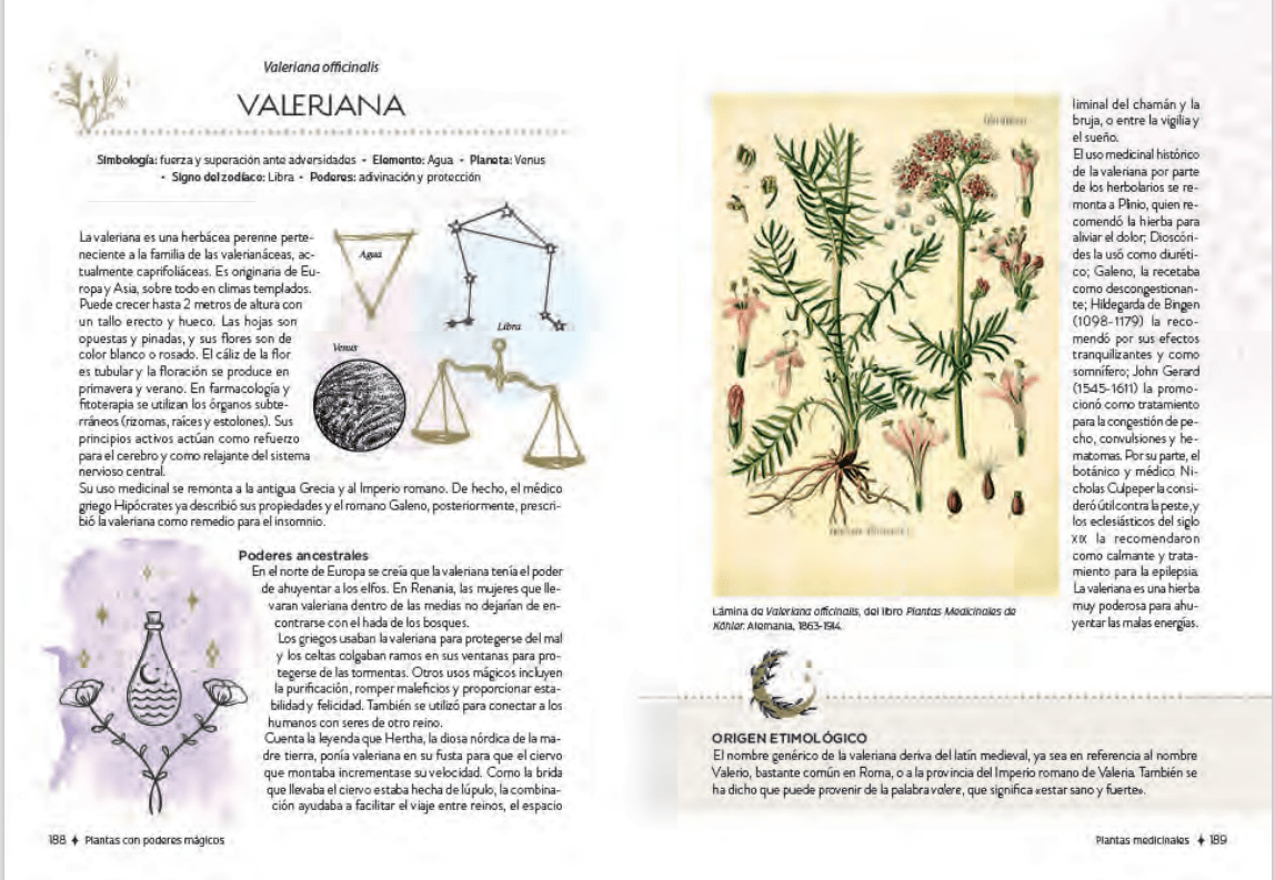 PLANTAS CON PODERES MÁGICOS5