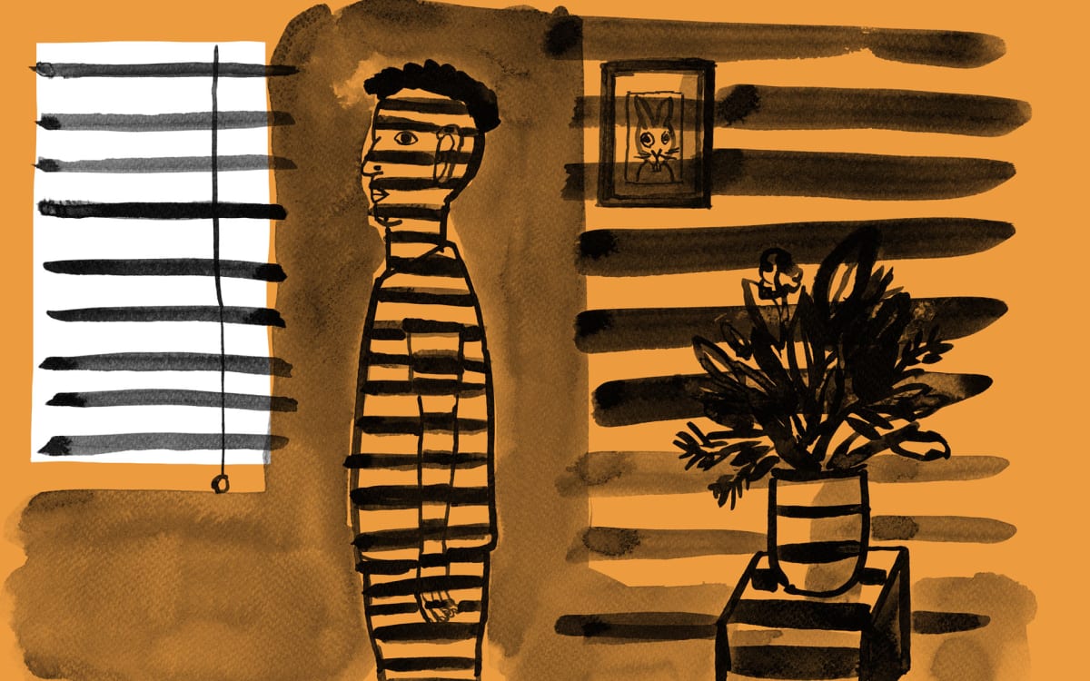 DENTRO DE UNA CEBRA3