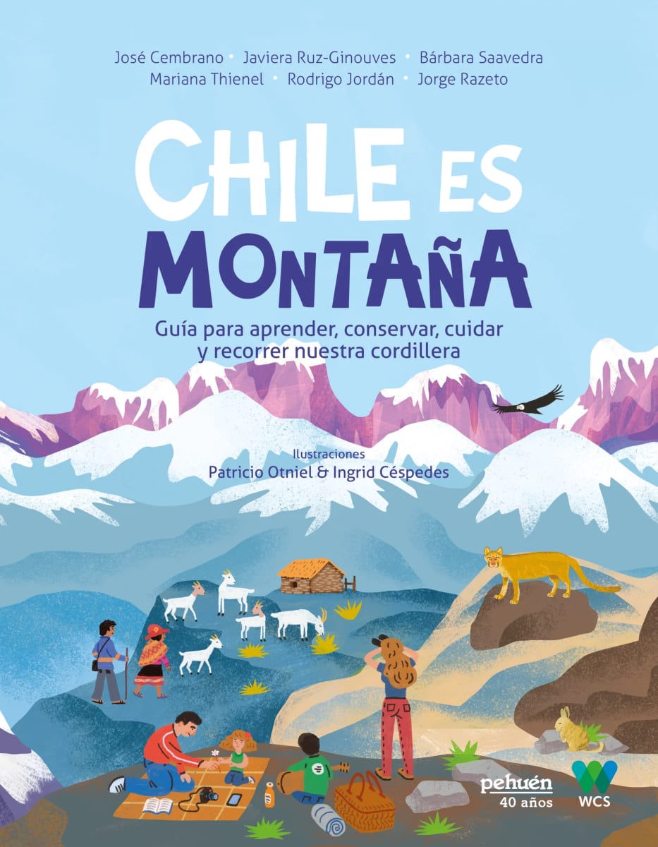 CHILE ES MONTAÑA1