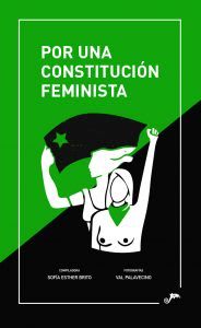POR UNA CONSTITUCIÓN FEMINISTA1