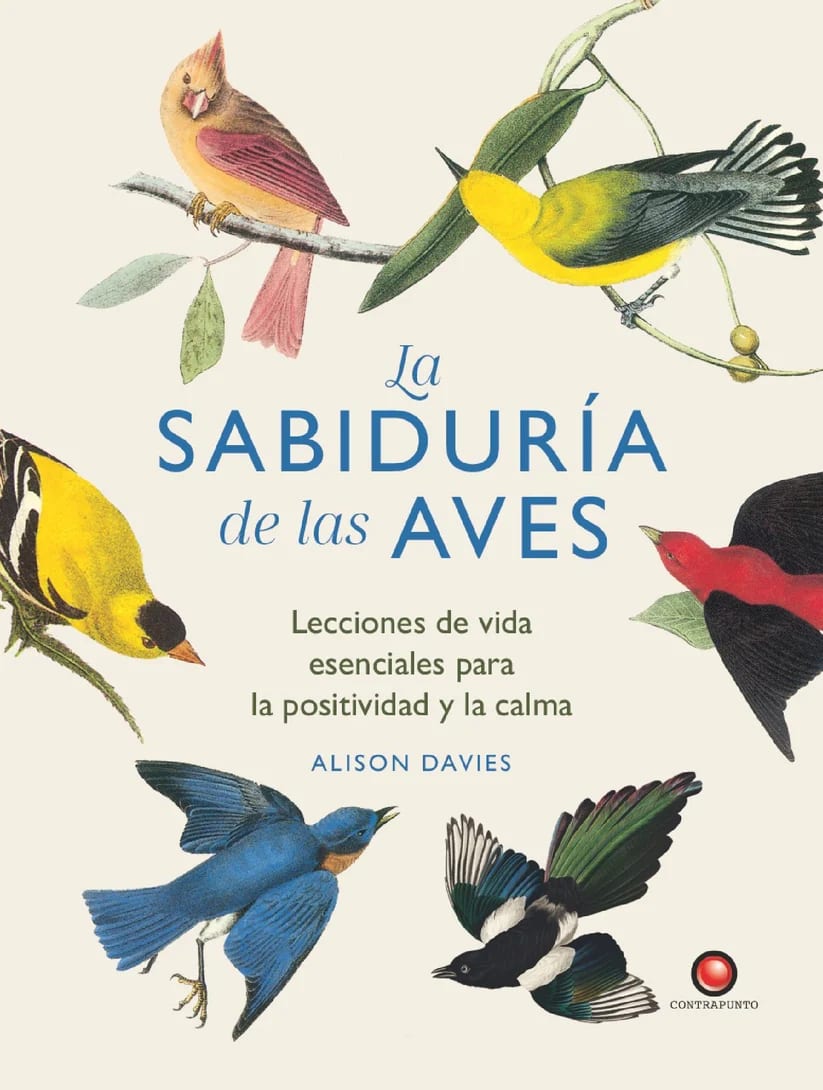 LA SABIDURÍA DE LAS AVES1