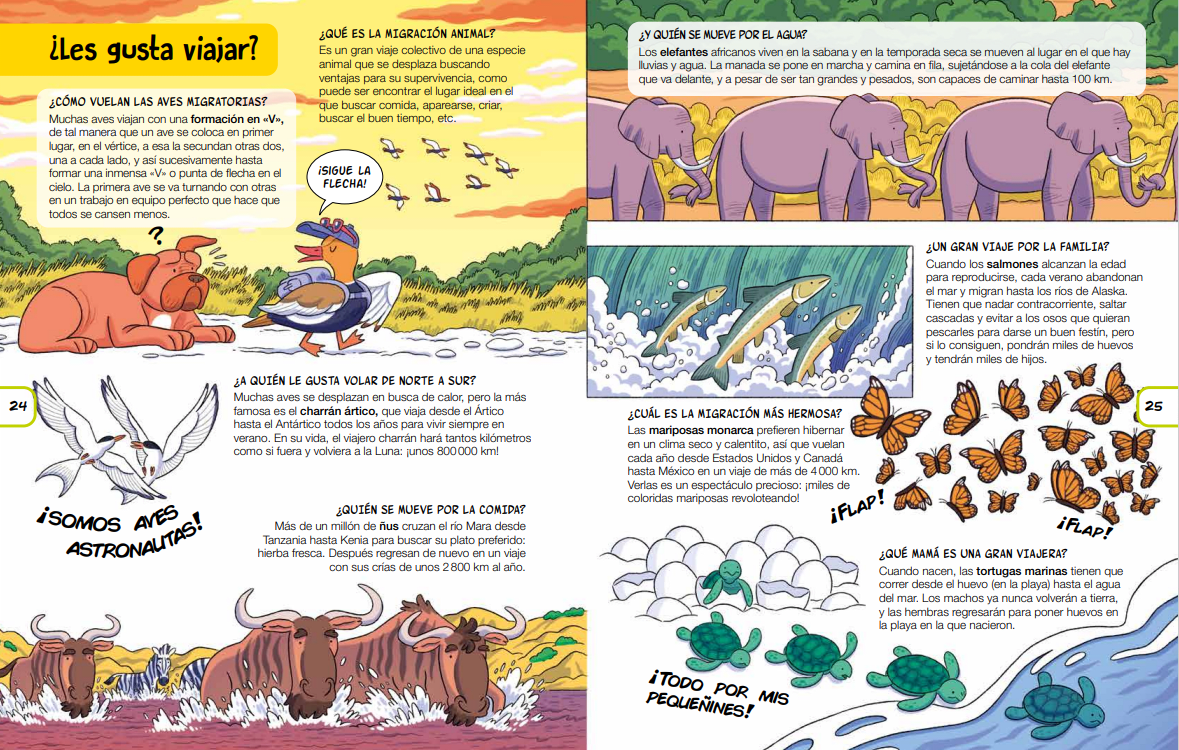 PREGUNTAS Y RESPUESTAS PARA APRENDER2