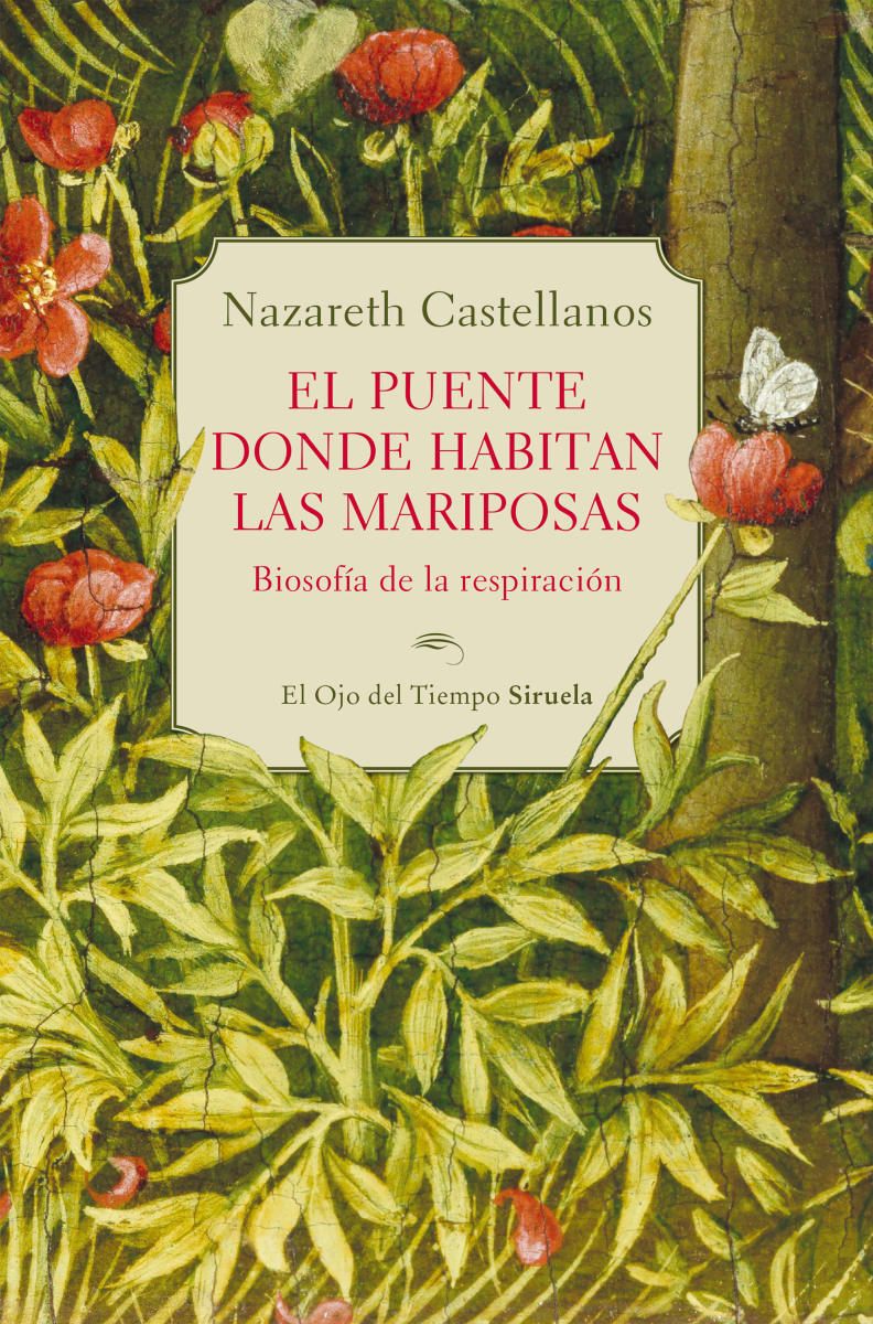 EL PUENTE DONDE HABITAN LAS MARIPOSAS1