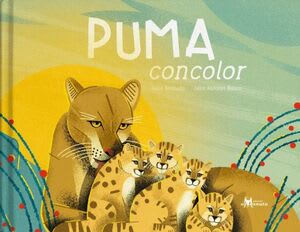 PUMA CONCOLOR1