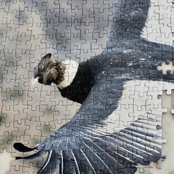 PUZZLE 1000 PIEZAS CÓNDOR2