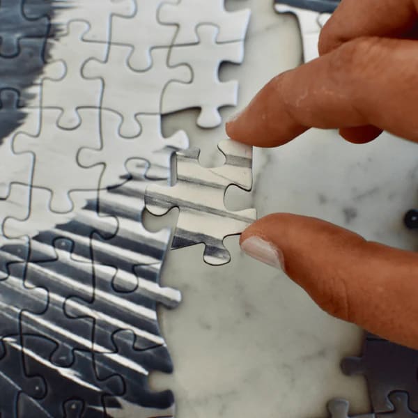 PUZZLE 1000 PIEZAS CÓNDOR3