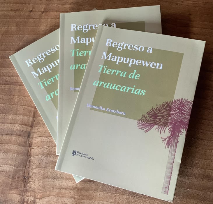 REGRESO A MAPUPEWEN2