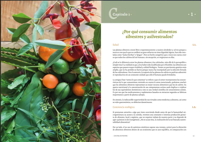 COCINA SILVESTRE II4