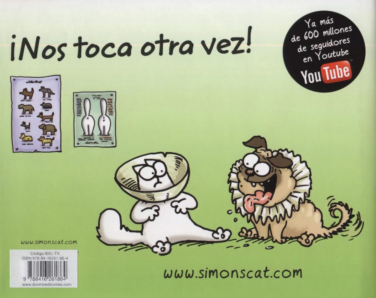 SIMON'S CAT VA AL VETERINARIO2