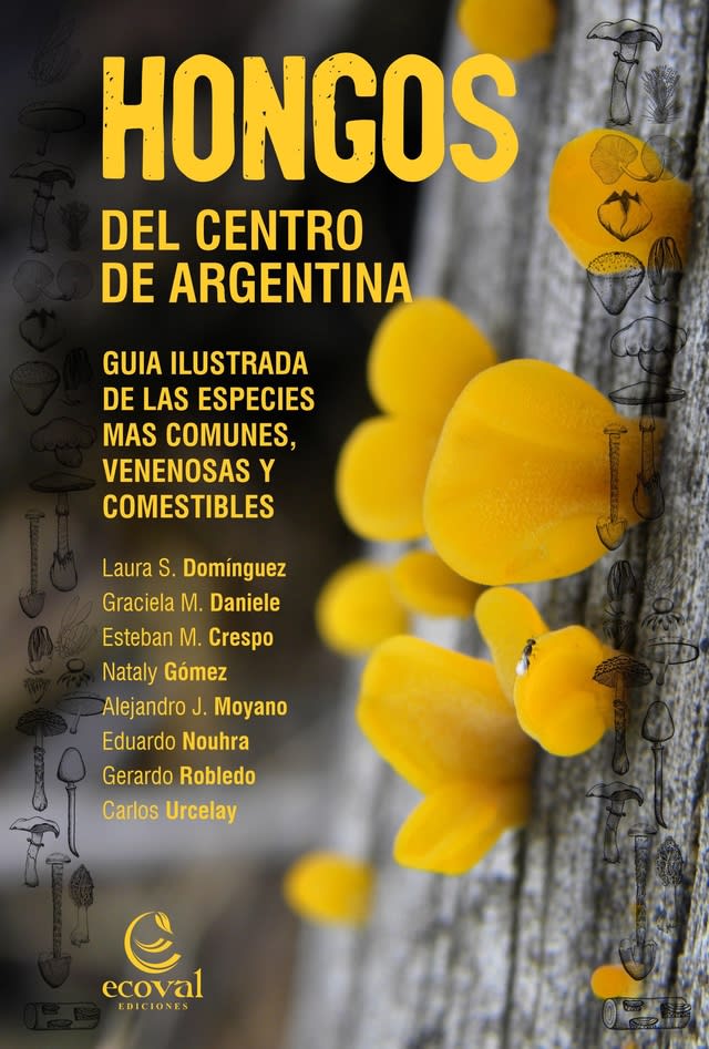 HONGOS DEL CENTRO DE ARGENTINA1
