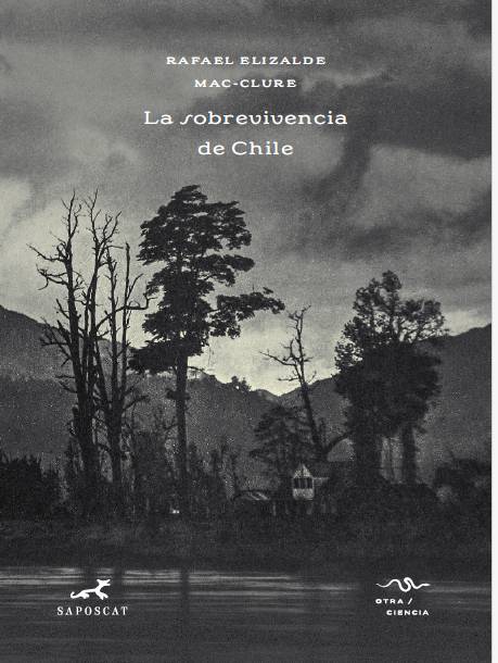 LA SOBREVIVENCIA DE CHILE.1