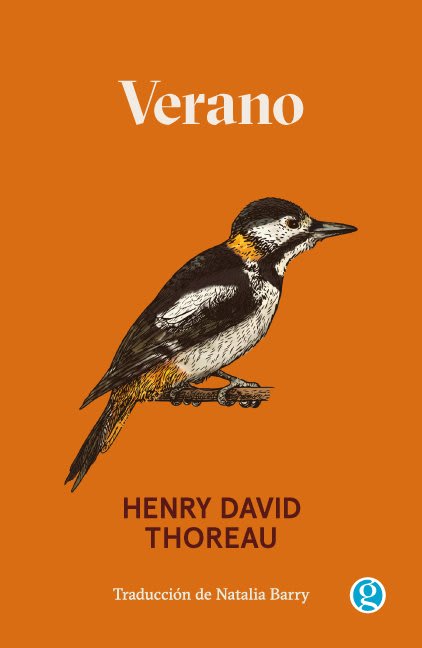 VERANO1