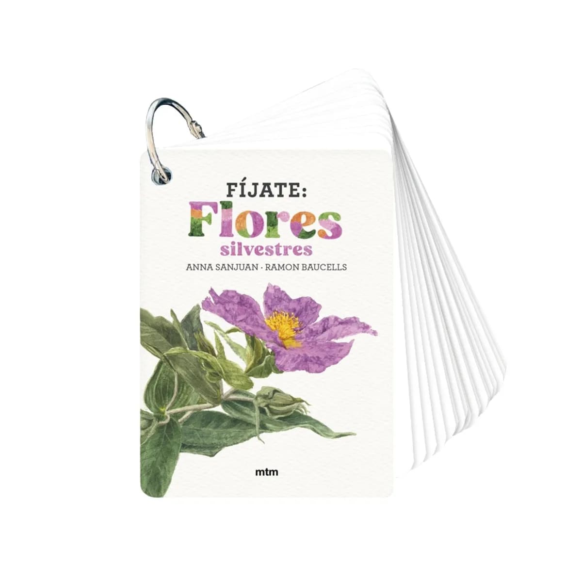FIJATE: FLORES SILVESTRES1