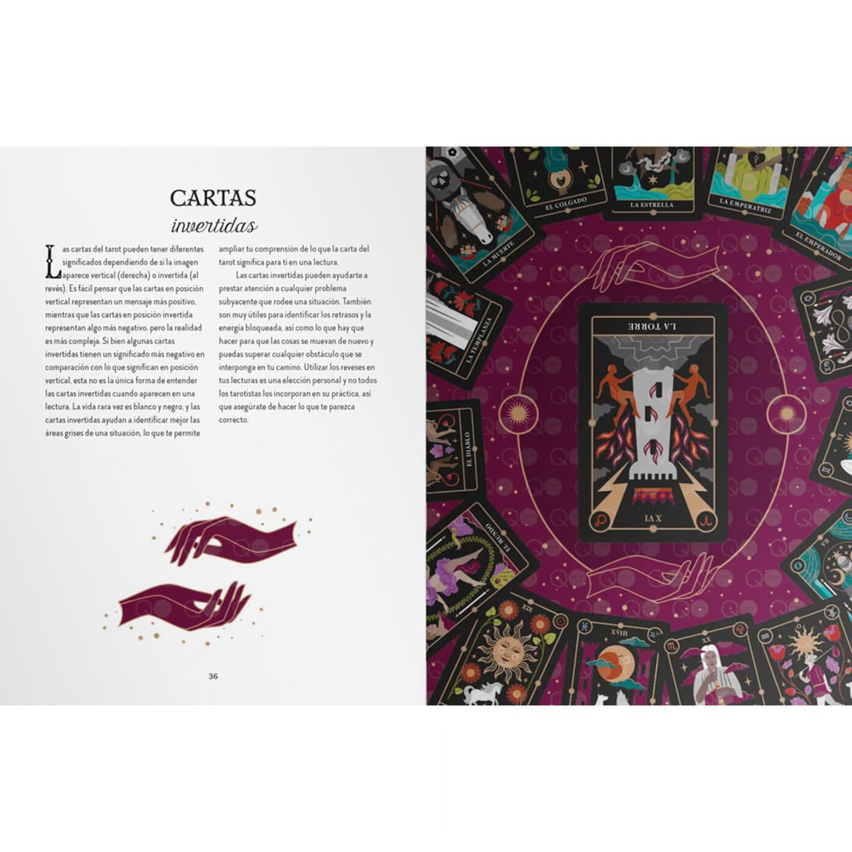 LA BRUJA DEL BOSQUE: MAGIA DEL TAROT3