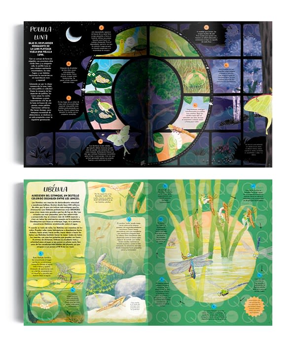 LA MAGIA DE LA NATURALEZA2