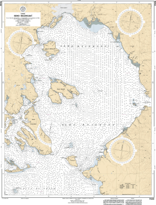 Carta Navegación 7320