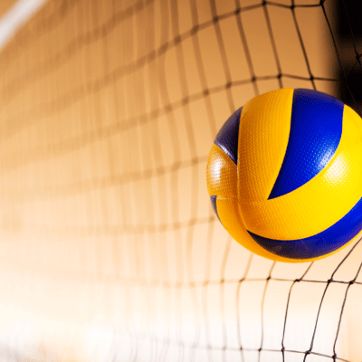  voleibol