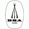 BSA