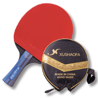 PALETA XUSHAOFA T 2008