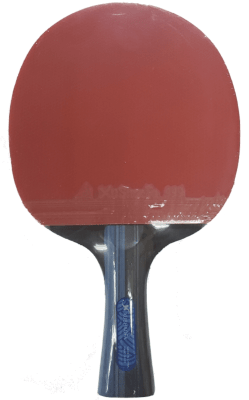 PALETA XUSHAOFA T 2008