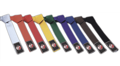 CINTURON OKAMI 310 CM