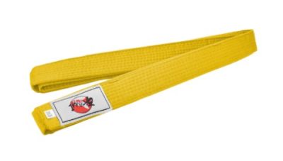 CINTURON OKAMI 310 CM