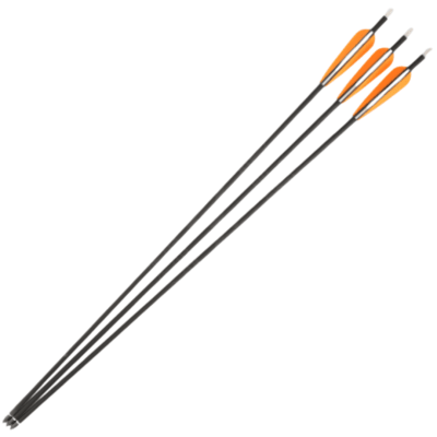 FLECHA DE CARBONO PARA ARCO 30 PULGADAS