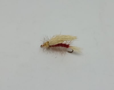 STIMULATOR RED