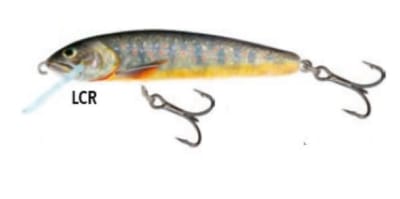 SALMO MINNOW LAKE CHARR
