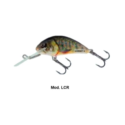 SALMO HORNET LAKE CHARK