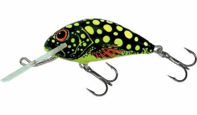 SALMO HORNET BEE