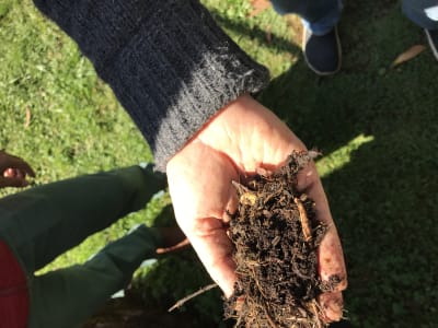 Plan anual de retiro orgánico + inorgánico Plan anual de retiro orgánico + inorgánico
