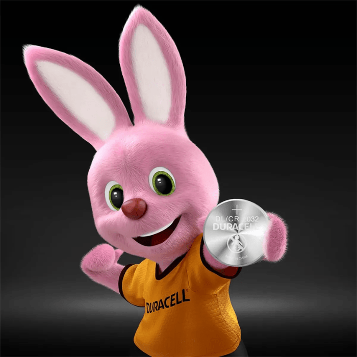 Pila Litio Duracell 1un. 3V - CR20324