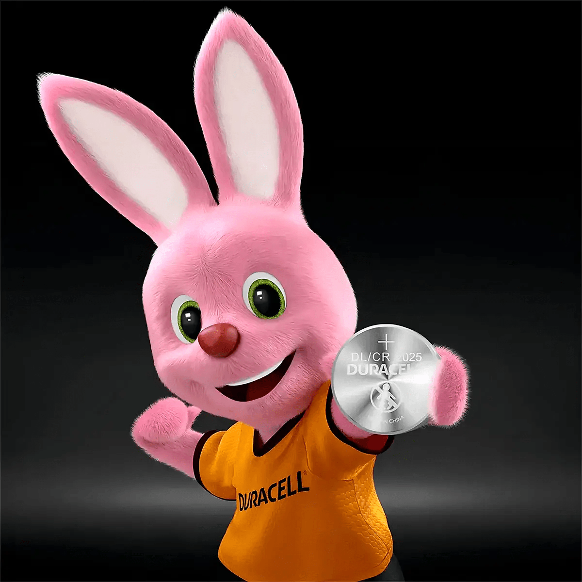 Pila Litio Duracell 1un. 3V - CR20256