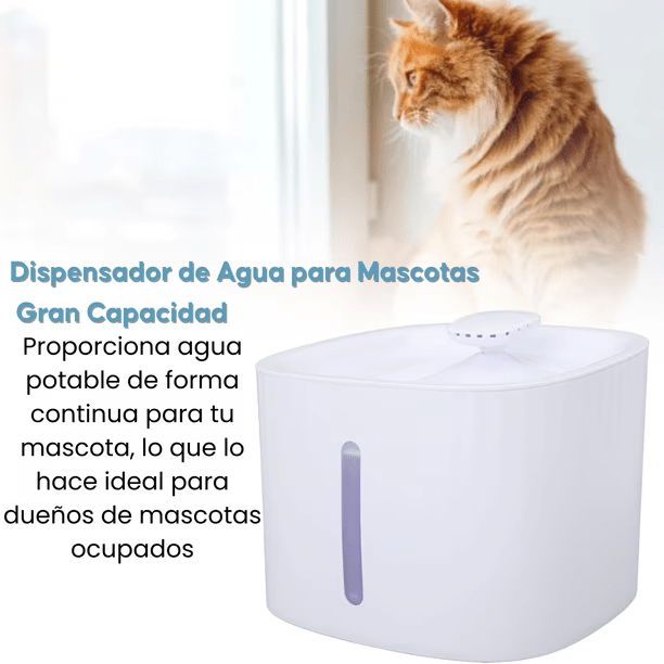 Bebedero Automático para Mascotas Incluye Filtro Agua6