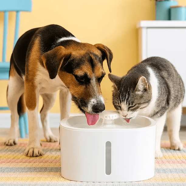 Bebedero Automático para Mascotas Incluye Filtro Agua2