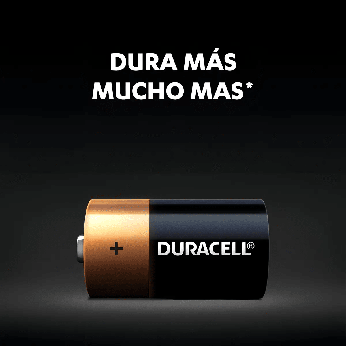 Pila Alcalina Duracell 1.5V Blister 2un. C2