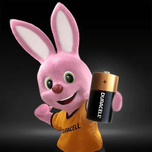 Pila Alcalina Duracell 1.5V Blister 2un. C4