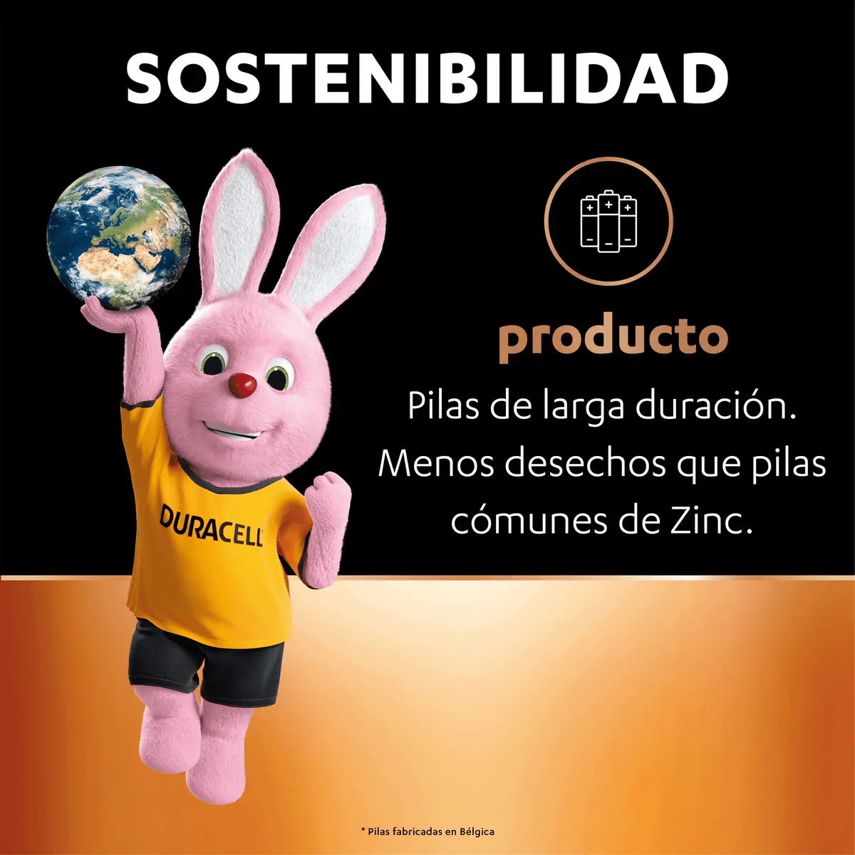Pila Alcalina Duracell AAA - Pack 4 Un.5