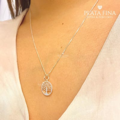 Conjunto Plata Vida1
