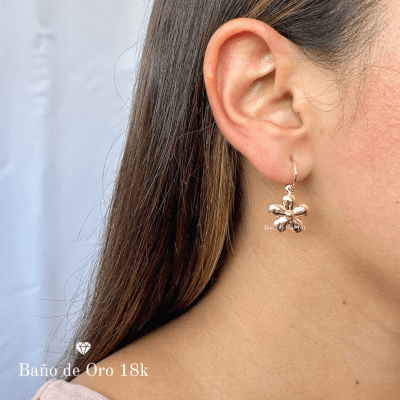 Argollas Baño Dije Flor1