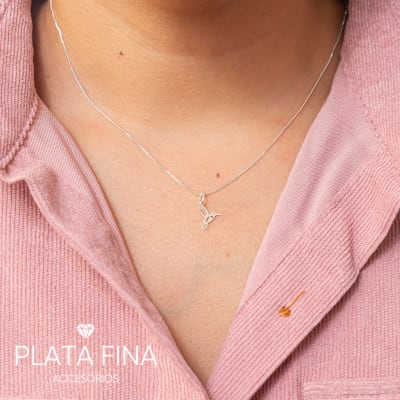 Conjunto Plata Mini Colibrí1