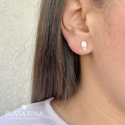 Aros Alas Pequeñas1