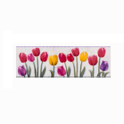 LISTELO TULIPANES 5.5 X 40