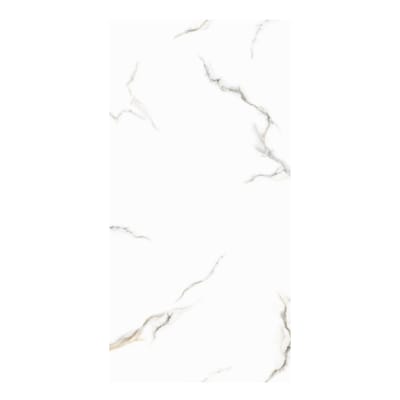 PORCELANATO STATURIO 60X1.20